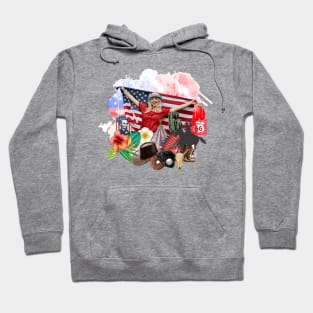 USA College Concept Hoodie